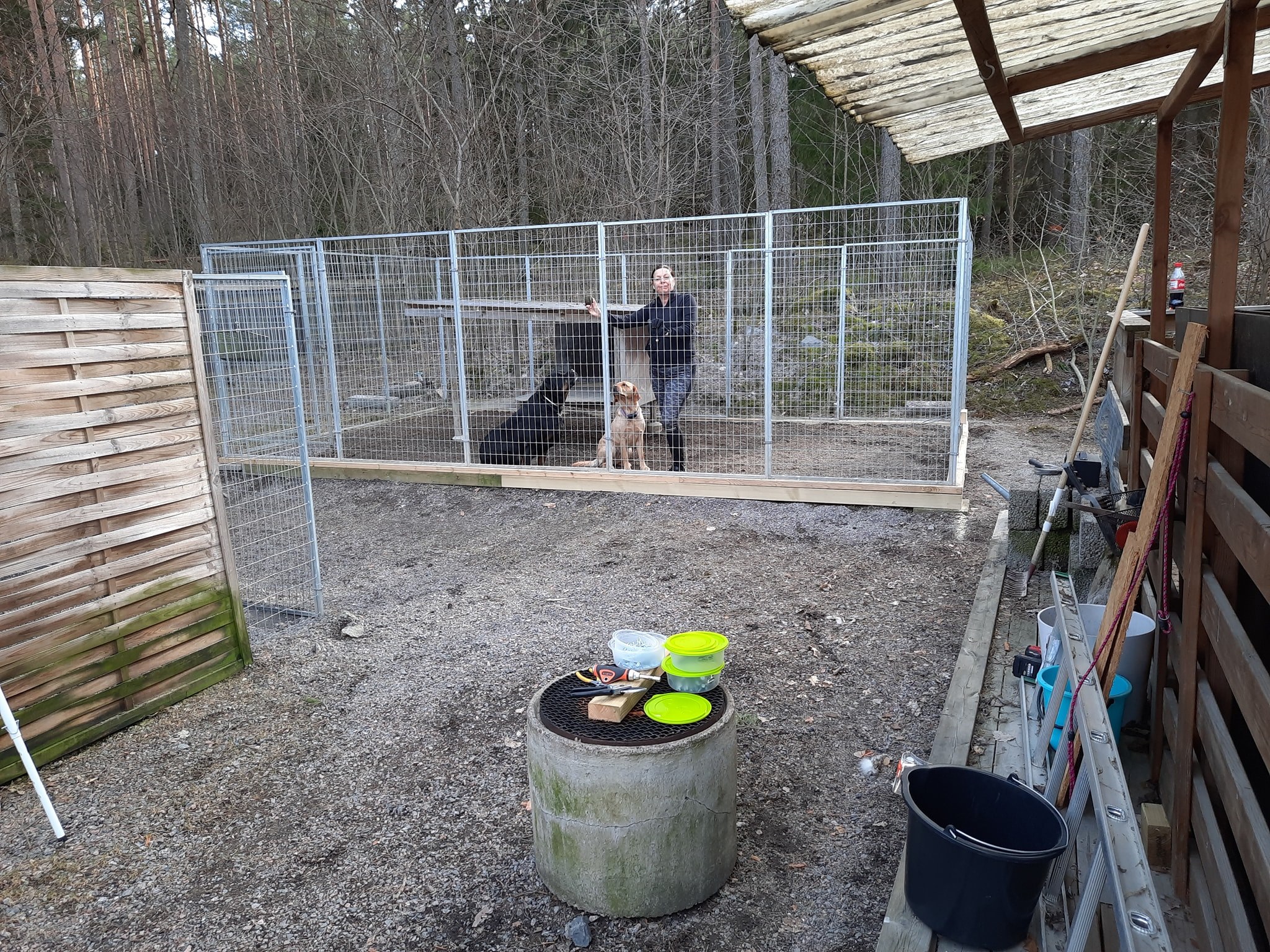 Bildbeskrivning