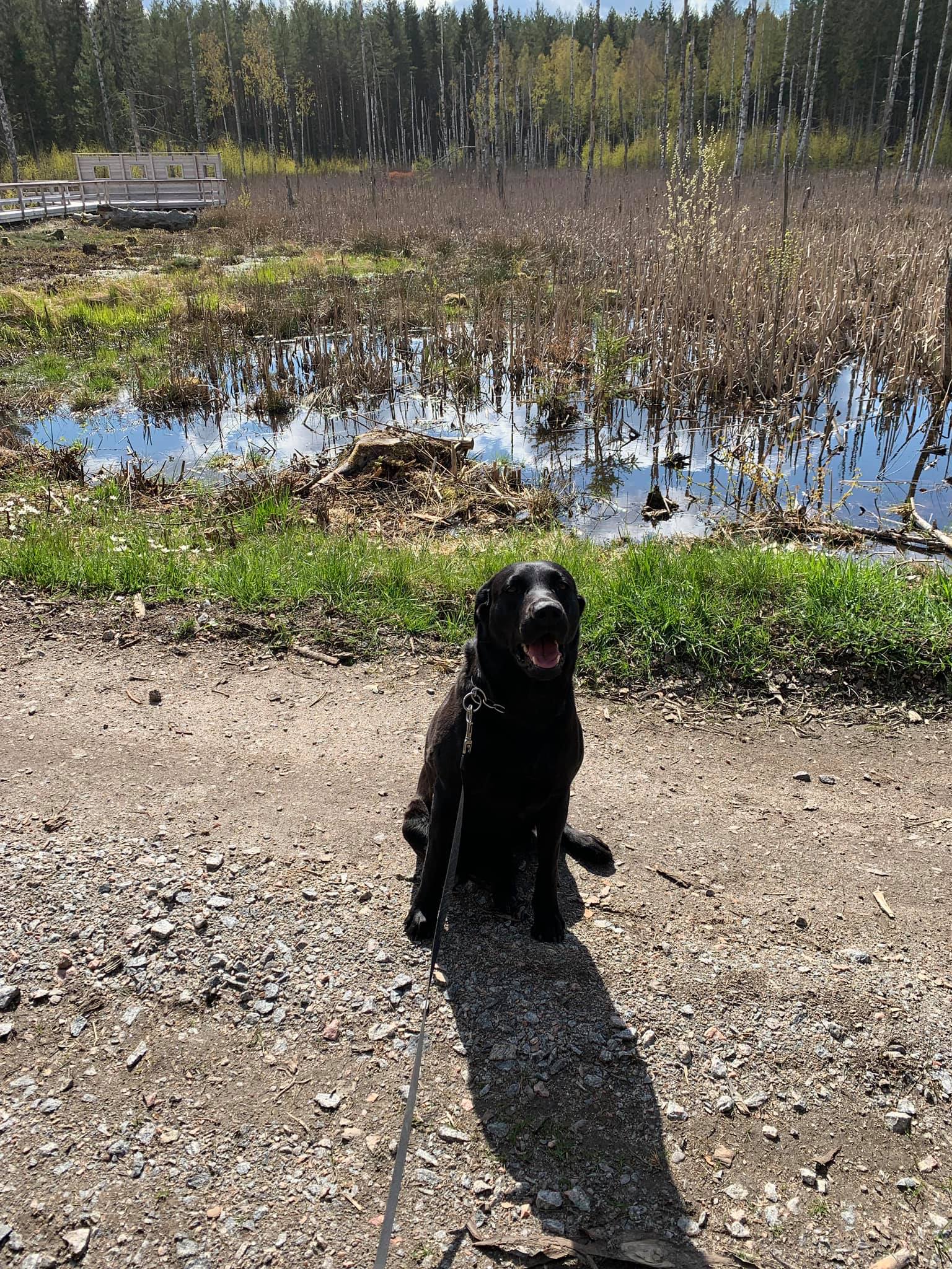 Bildbeskrivning